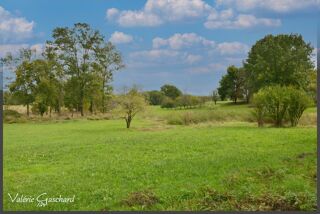  Terrain � vendre 1200 m�