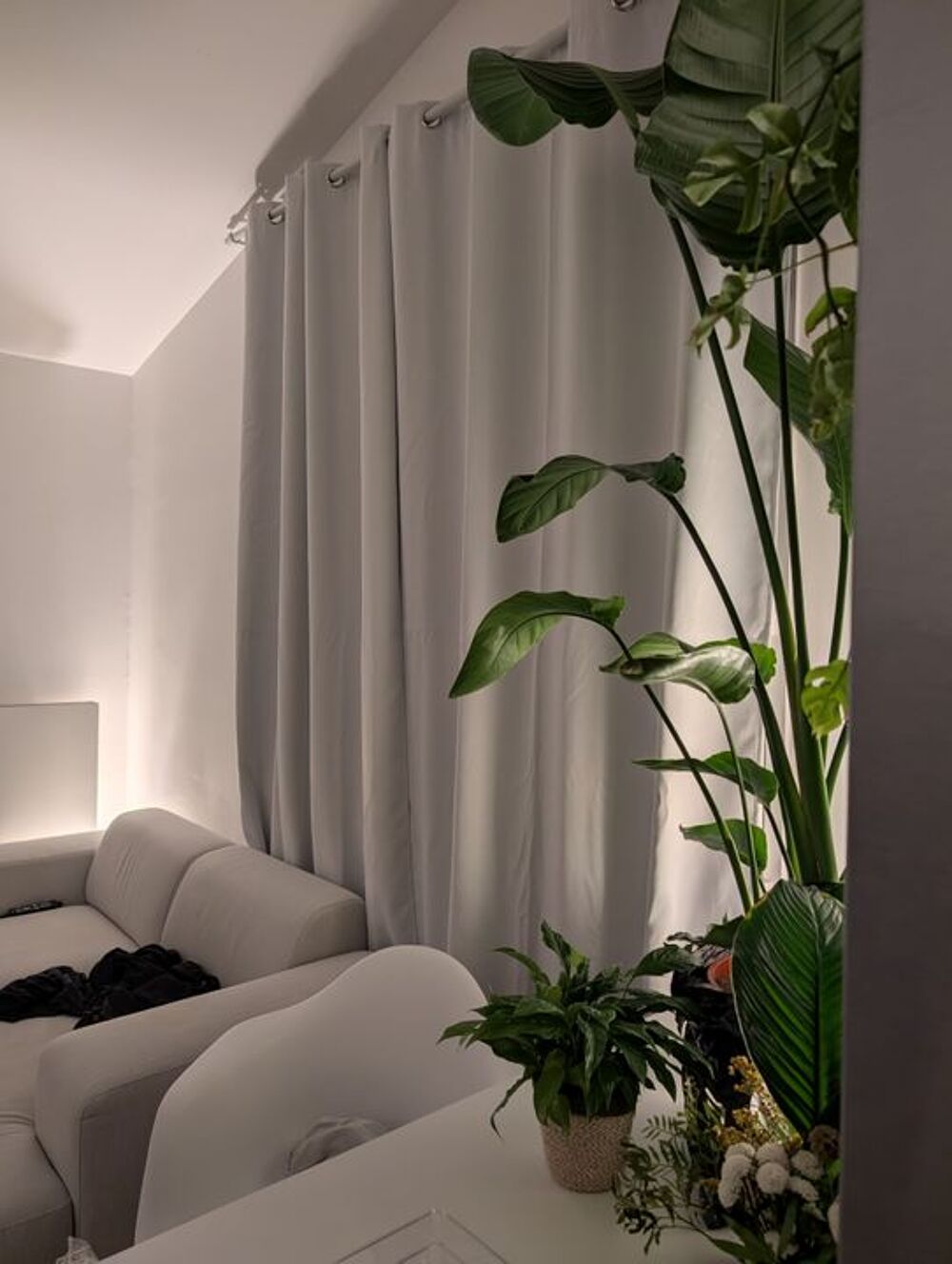 Location Appartement Chambre de 14m2 à louer sur Nantes Nantes