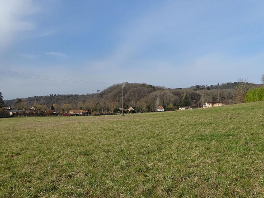 Vente Terrain Terrain Thonac 19000 m2 Thonac
