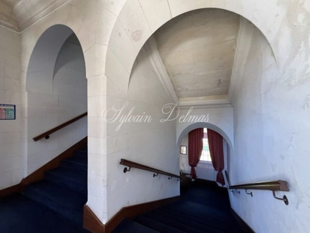 � vendre  Propri�t�/ch�teau Amboise (37400)