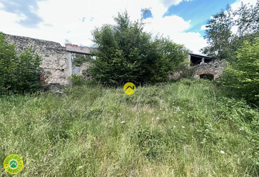 Vente Maison Maison + bâtiment Voussac