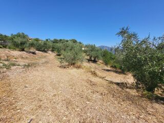  Terrain � vendre 3964 m�