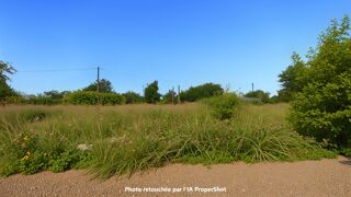  Terrain � vendre 563 m�