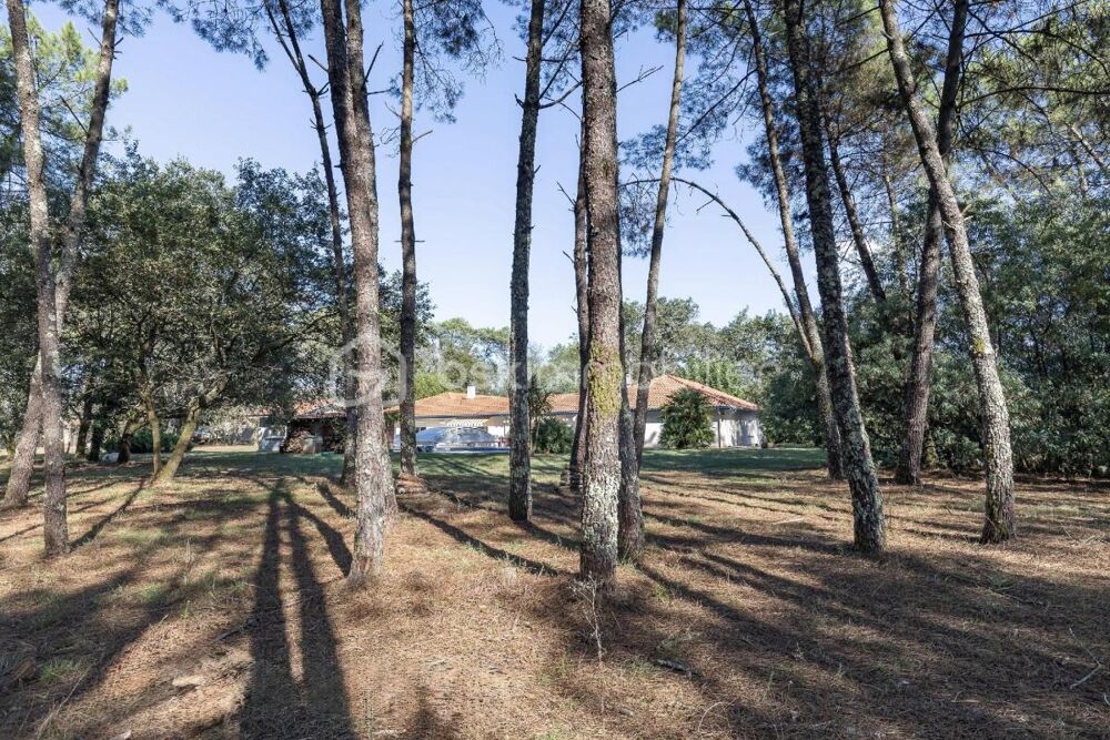 Vente Maison Propriété d'exception de 295 m² sur 39 294 m² – Herm (40990) Herm