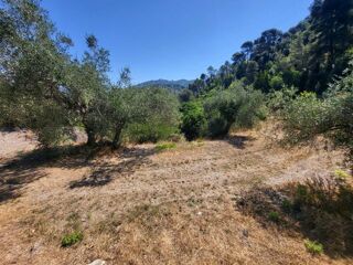  Terrain � vendre 3964 m�