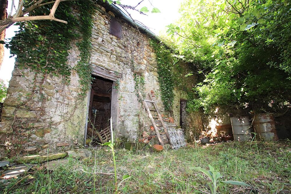 Vente Maison RARE - Demeure de caractère de 300 m² à rénover sur 5 385 m² de terrain Saint gervais sur mare