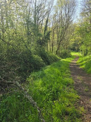  Terrain � vendre 2500 m�