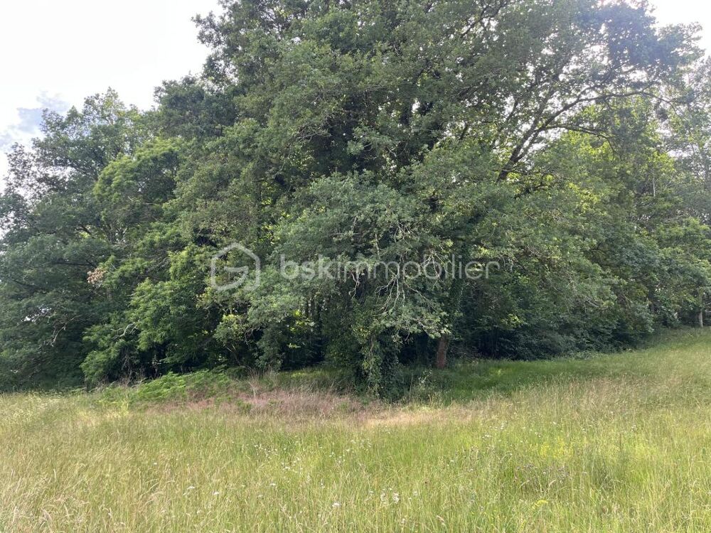 Vente Terrain 17760m2 BOIS + 4100m2 PRAIRIE La douze