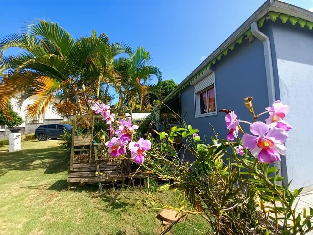 Vente Maison Maison viager � vendre 4 pi�ces BAIE MAHAULT (971) Baie mahault