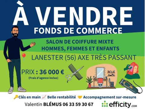 Commerces/Negoce 36000 56600 Lanester