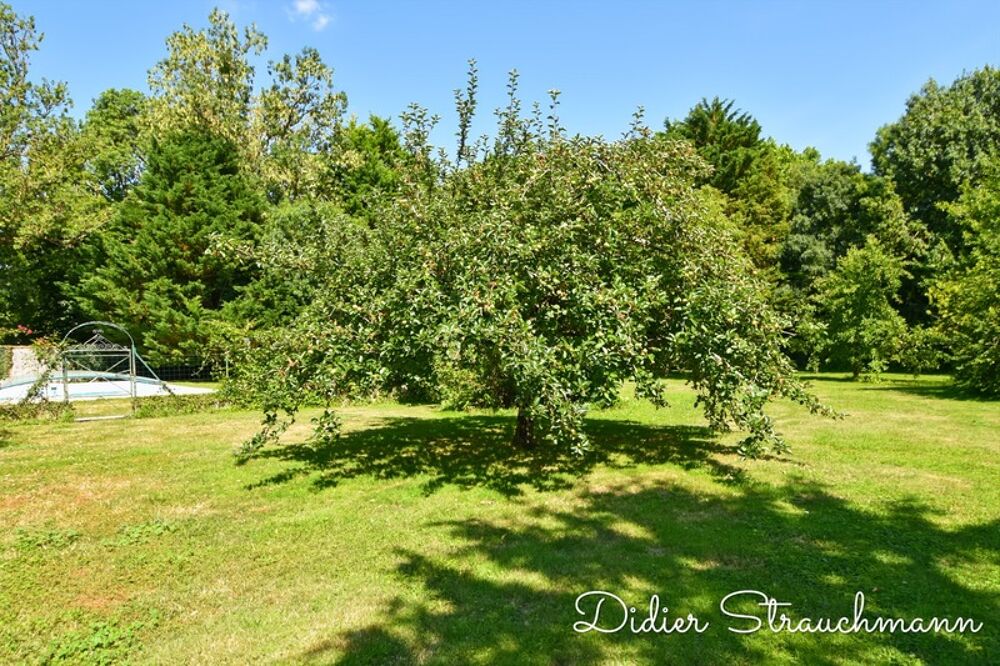 Vente Maison Maison à vendre 7 pièces AIGREFEUILLE D'AUNIS (17) Aigrefeuille d aunis