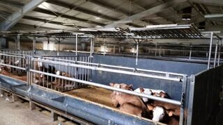  Maison  vendre 5 pices 230 m