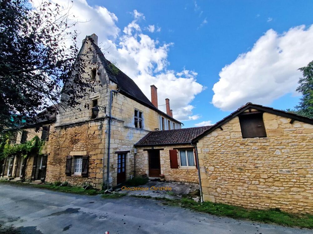 Vente Maison 24290 Sergeac : Ensemble immobilier en pierre du pays Sergeac