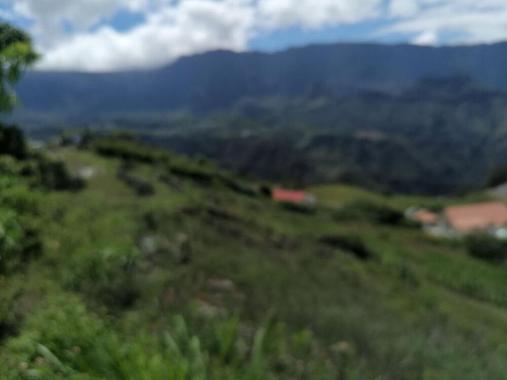 Vente Terrain ORPI-CILAOS Terrain 800 m² Cilaos