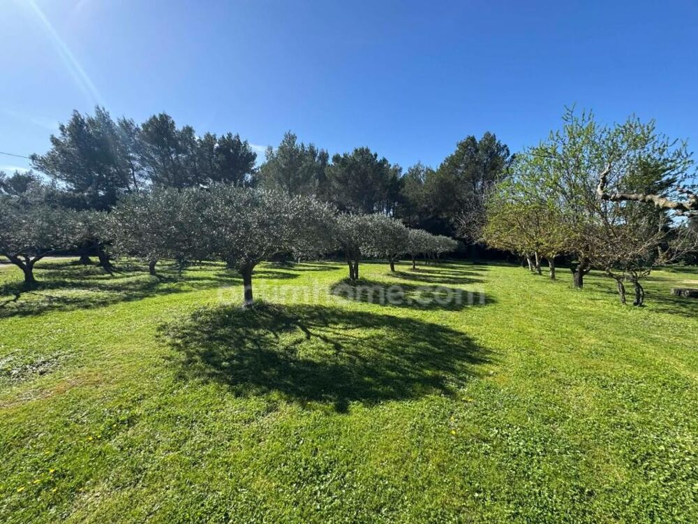 Maison Provençale au coeur des Alpilles