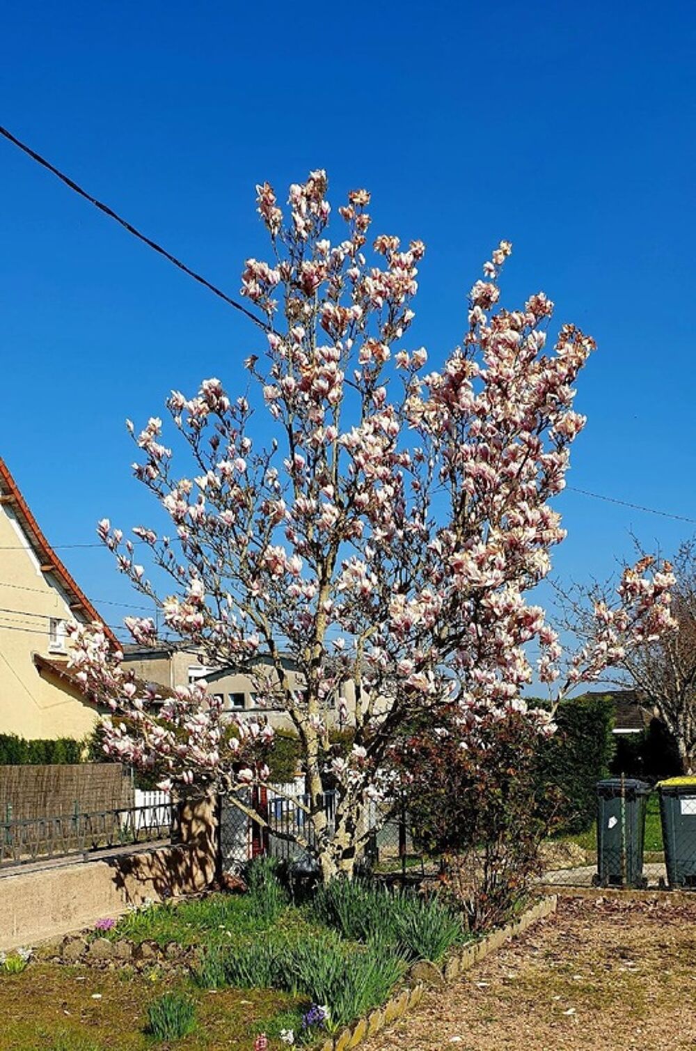Maison mitoyenne de 100 m², combles aménageables, jardin et garage : une opportunité à Ciry-le-Noble