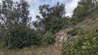  Terrain à vendre 3015 m²