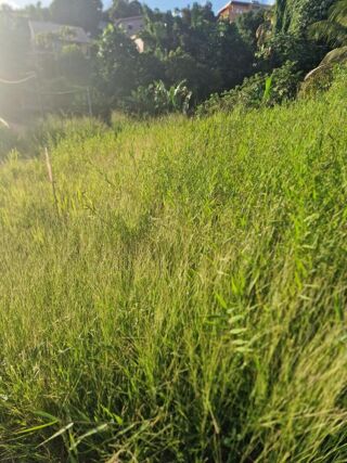  Terrain  vendre 517 m