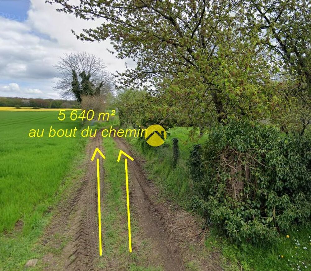 Vente Terrain LA NATURE COMME VOISINE Sancoins