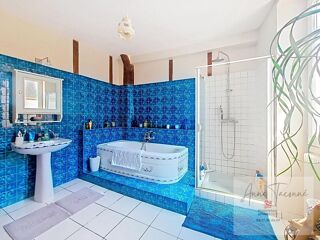  Maison � vendre 7 pi�ces 245 m�