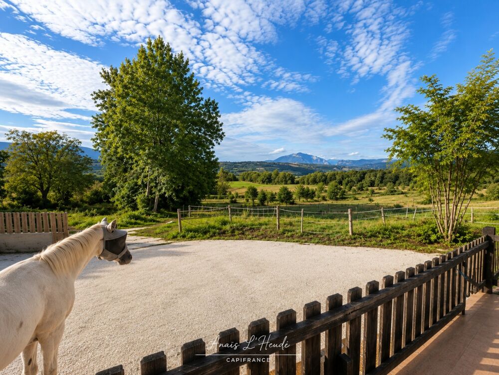 à vendre  Propriété/château Seyssel (74910)