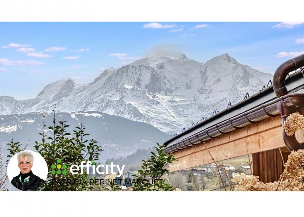  vendre  Chalet Combloux (74920)