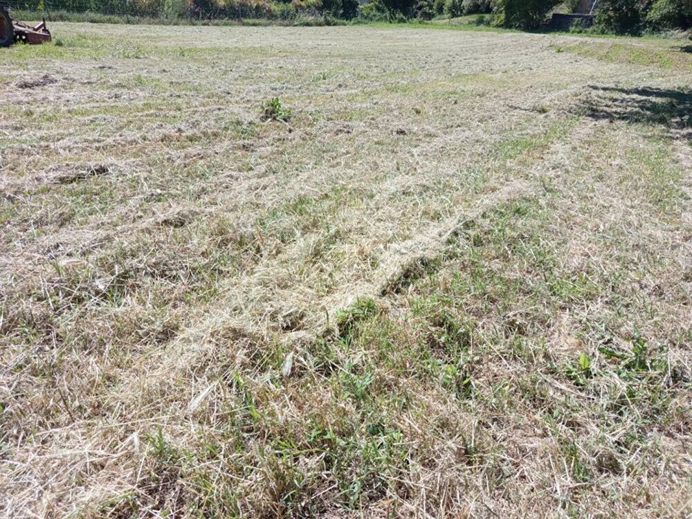Vente Terrain Terrain plat constructible de 1834m² à Donzère 125 500 HAI Donzere
