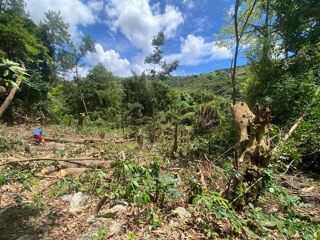  Terrain  vendre 1981 m