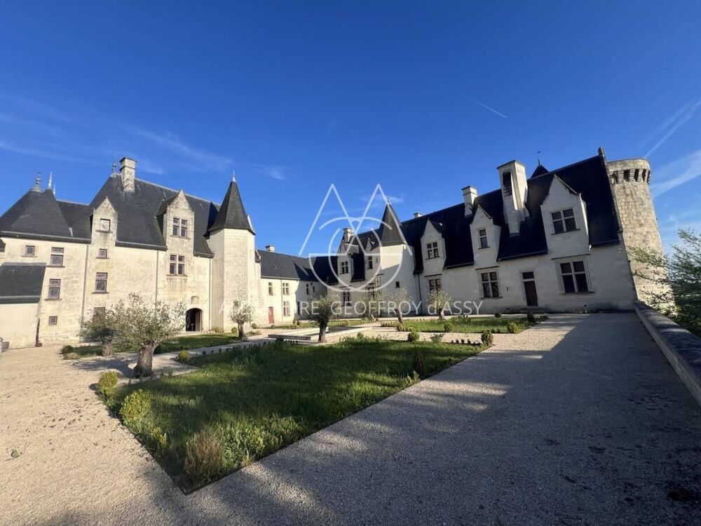 à vendre  Propriété/château Le Blanc (36300)