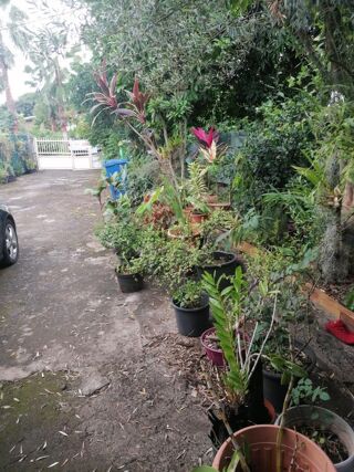  Maison � vendre 5 pi�ces 