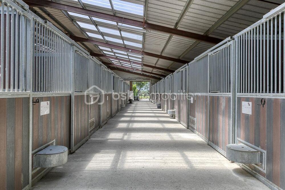 DOMAINE EQUESTRE POUR PROFESSIONNEL SUR 6,5 HA - Hautes-Pyrénées (65)