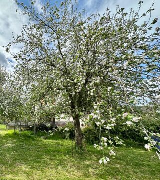  Maison � vendre 7 pi�ces 196 m�