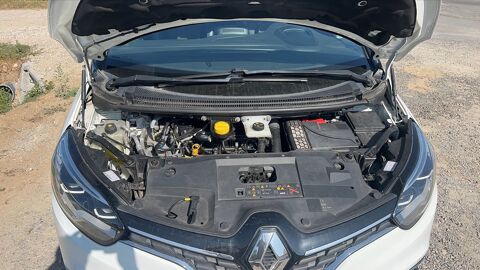 Sc&eacute;nic 1.7 Blue dCi 120 Bose 2019 occasion 44830 Brains