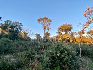  Terrain  vendre 850 m