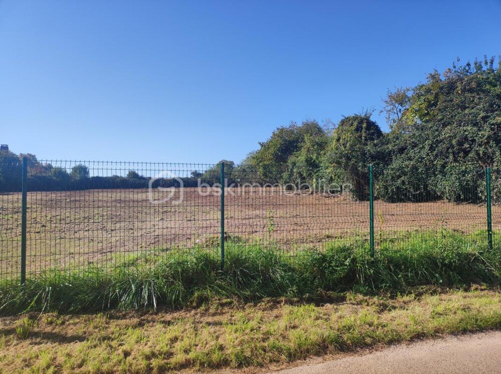 Vente Terrain ? Terrain constructible de 2 514 m² avec grange – Cadre naturel et beau potentiel Champlost