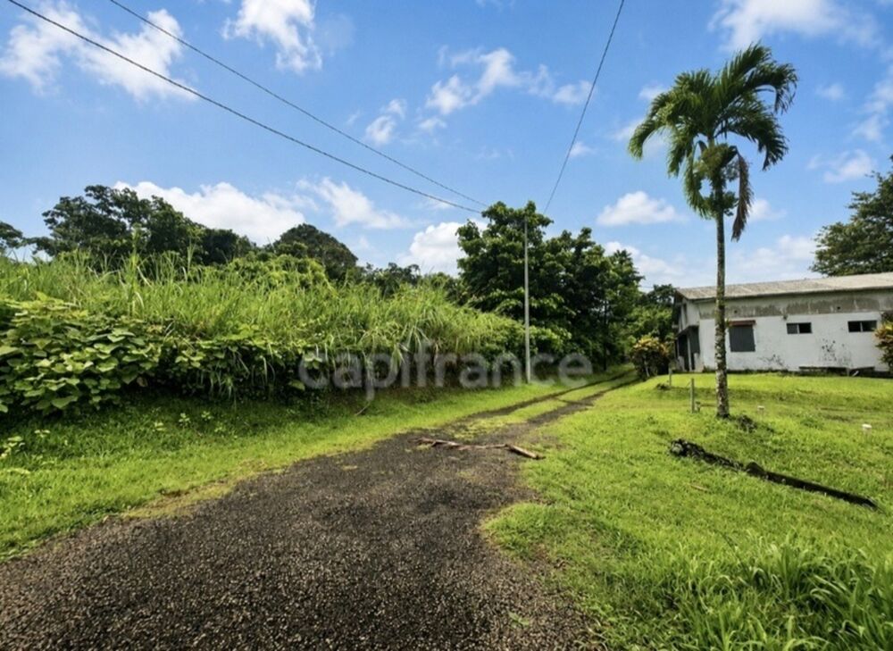 Vente Terrain A vendre - Terrain plat de 729 m² – Ajoupa-Bouillon – Secteur Adinet L ajoupa bouillon