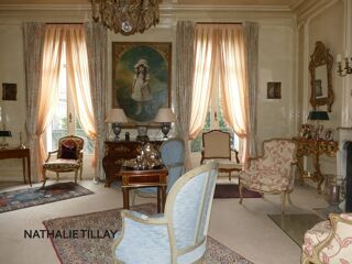  H�tel Particulier � vendre 12 pi�ces 465 m�