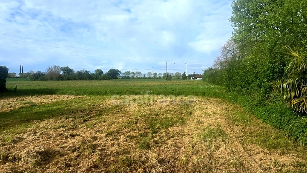 Vente Terrain Terrain pour réaliser minimum 3 MAISONS à Nachamps (17)proche SURGERES et SAINT JEAN D'ANGELY Nachamps
