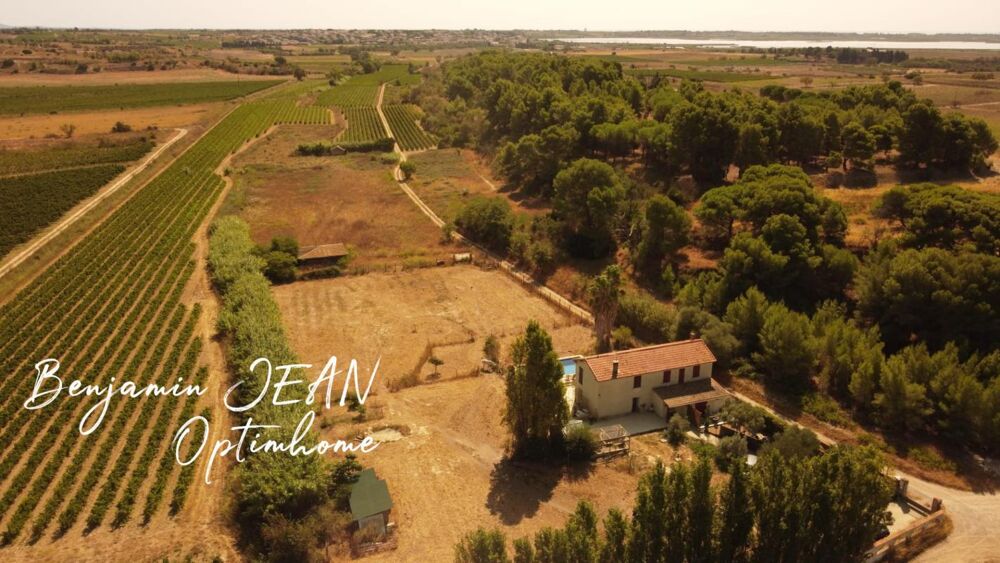 Domaine