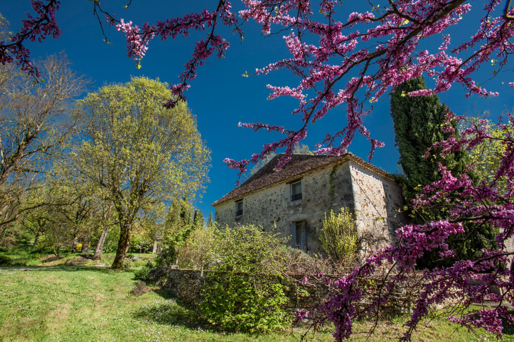 Vente Maison Charmante Maison de campagne,+/-170m2, 4 chambres, piscine, 5676M2 jardin Villereal
