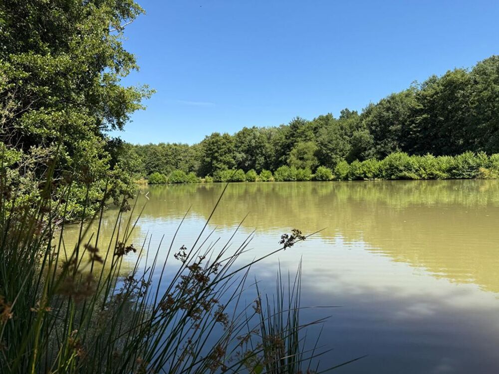 Propriété Maison + Etang + gîte Proche Moulins 03