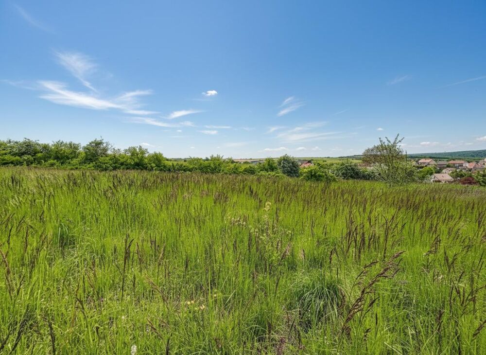 Vente Terrain TERRAIN CONSTRUCTIBLE - 25 MIN de DIJON Francheville