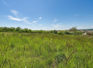  Terrain à vendre 1550 m²