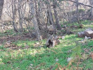  Terrain � vendre 2000 m�