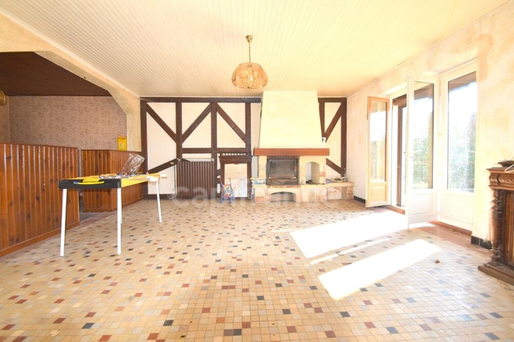 Vente Maison Dpt Loiret (45), à vendre deux maisons, 12 pièces, 280 M² Pithiviers