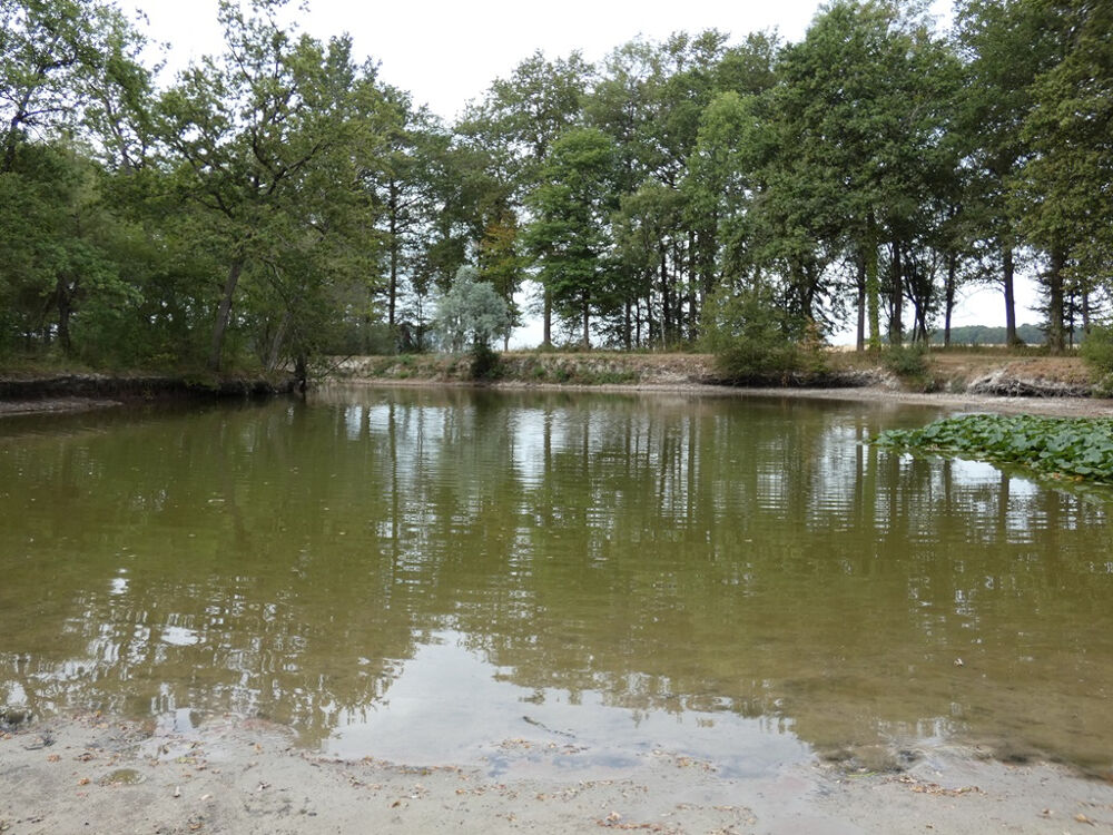 à vendre  Propriété/château Villeloin-Coulangé (37460)