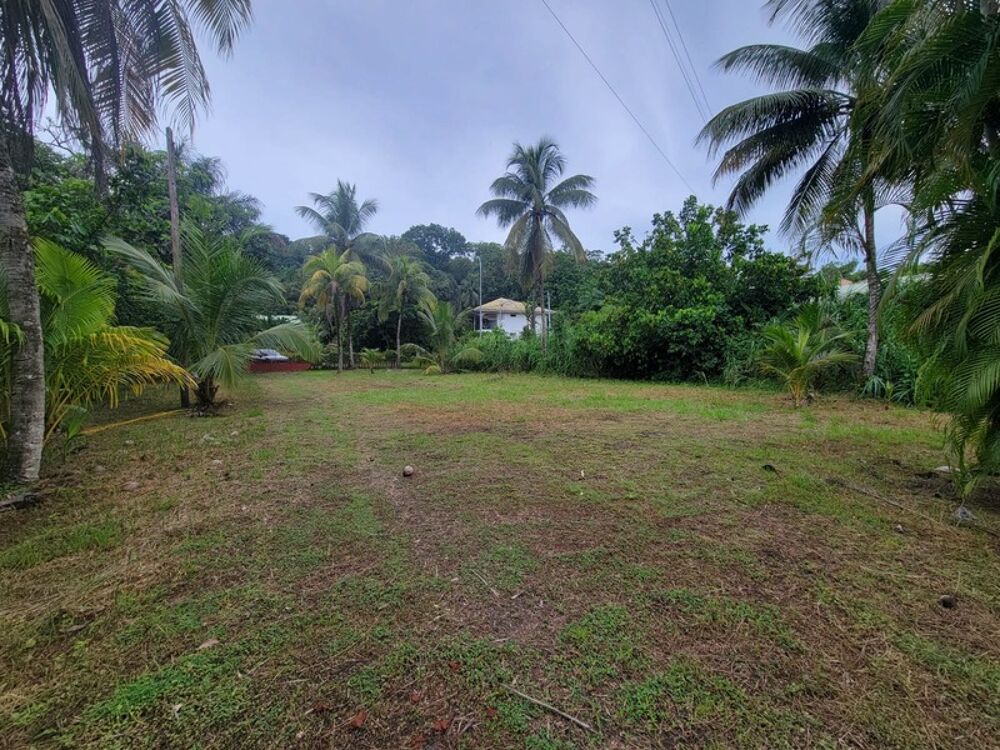 Vente Terrain Terrain de 1 702 m² avec maison T4 – Rémire-Montjoly Remire montjoly