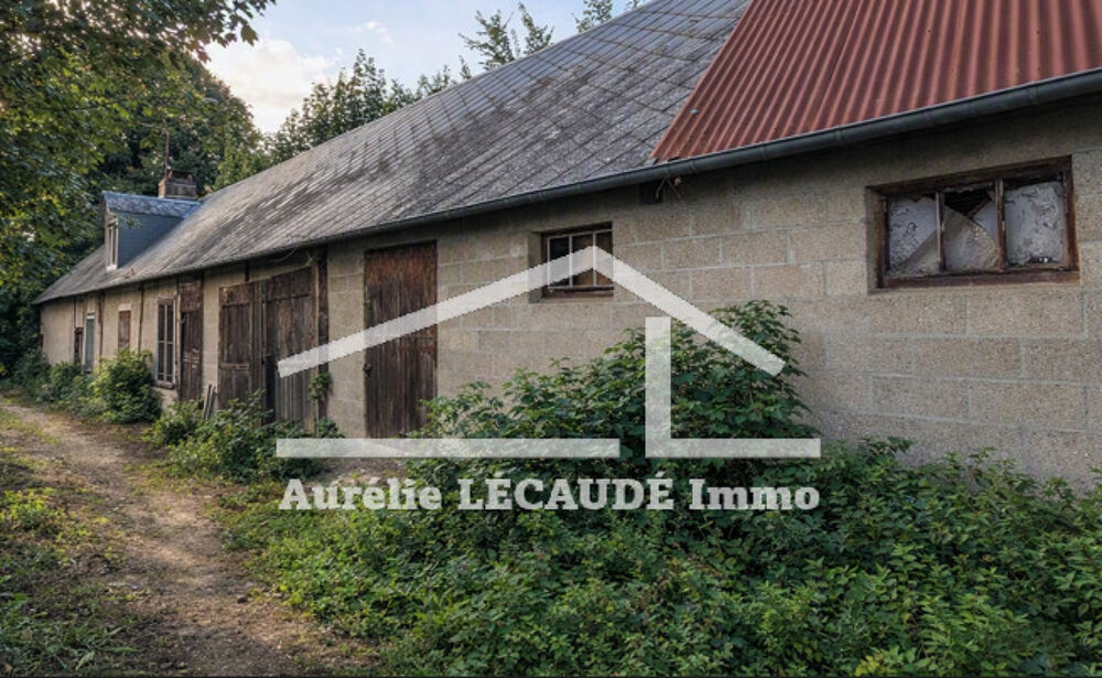 Vente Terrain CLERES - TERRAIN 3000m² AVEC BATIMENTS Cleres
