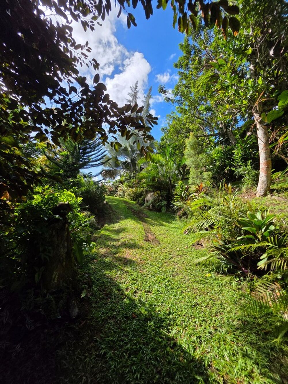 Vente Villa Villa 5 chambres + 2 F2 indépendants sur plus de 2400 m² de terrain Baie mahault