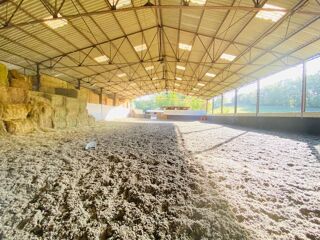  Proprit/chteau  vendre 8 pices 100 m